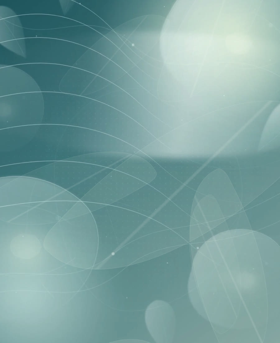 Sapience's living field of connected light and flowing paths